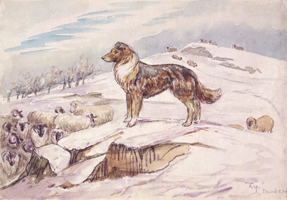 Kep Guarding the Sheep, by Beatrix Potter